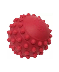 imagem de Esferas fisioterapicas fisiopauher un - ORTHO PAUHER